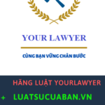 Dịch Vụ Luật Sư