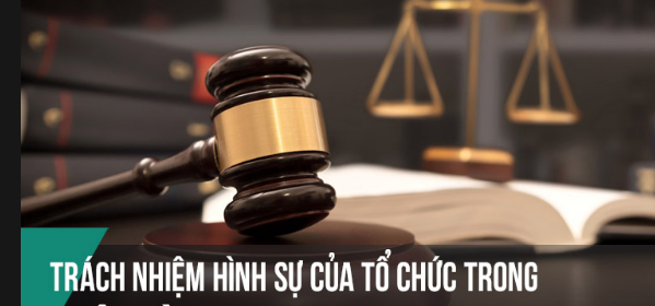 Các quan điểm về trách nhiệm hình sự của tổ chức