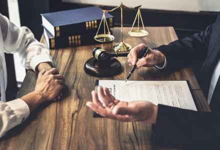 luật sư tư vấn pháp lý bảo vệ quyền lợi tổ chức chính phủ