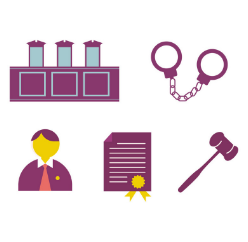 Luật sư hỗ trợ bảo hiểm hàng xuất khẩu