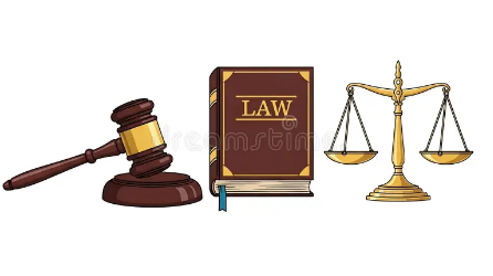 Luật sư giải quyết bảo hiểm mất tài sản