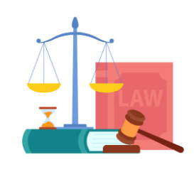 Luật sư bảo hiểm vận chuyển