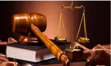 Hỗ trợ pháp lý mua bán công ty nông nghiệp