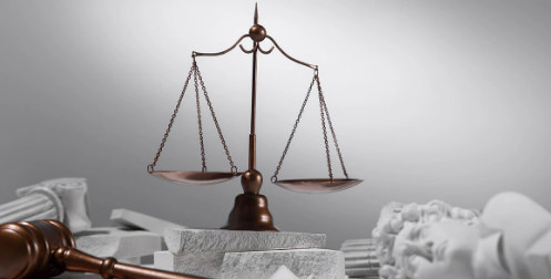 Dịch vụ pháp lý giấy phép chuyên nghiệp