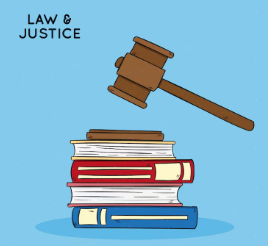 Tư vấn xin giấy phép nhanh chóng giá rẻ