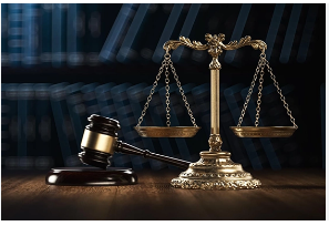 Luật sư bảo vệ bị cáo tại tòa án